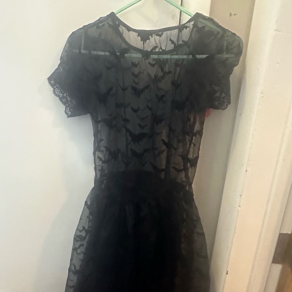 Sheer bat dress brand new with tags size small